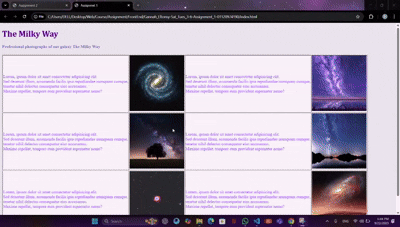 Information Table using HTML